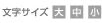 文字サイズ